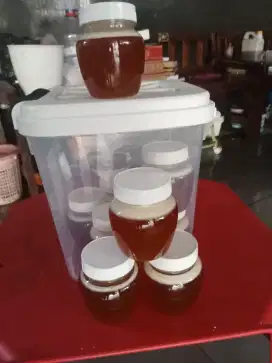 Jual madu asli 100% asli tidak campur