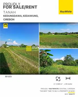 Disewakan/ Dijual Tanah Sawah di Kedungdawa, Kedawung Cirebon