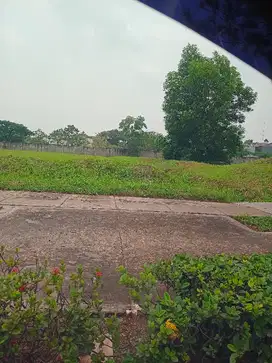 di sewakan kavling komersil bsd