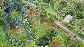 Tanah Langka Dengan Aliran Sungai Di Tabanan Bali