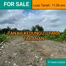TANAH KEDUNGU UTARA TABANAN 11,56 ARE