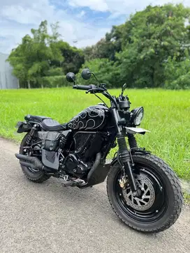 Custom Harley benelli Yamaha Byson