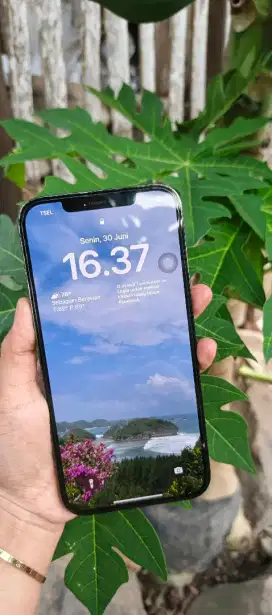 IPONE 12 PRO MAX 128 GB