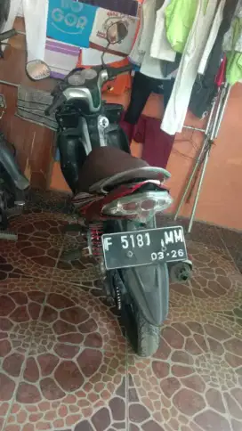 jupiter z burung hantu