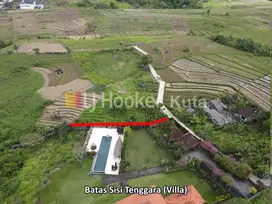 Dijual Tanah lingkungan Asri View Sawah di Tabanan.