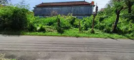 Dijual Tanah Lokasi Strategis Pinggir Jalan Raya di Jimbaran