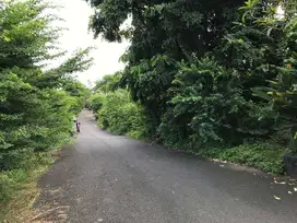 Dijual Tanah Lokasi Sangat Bagus cocok untuk Villa di Benoa