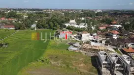 Dijual dan Disewakan Tanah 3 Are di Jl. Griya Mas Tumbak Bayuh