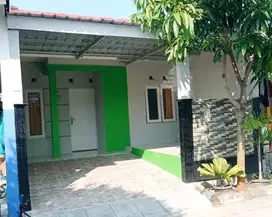 Rumah Bagus, Fasilitas Lengkap, Harga Terjangkau di Pantura Semarang