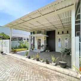 Canopy alderon 3806