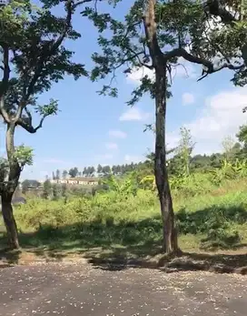 Tanah Siap Bangun Di Jl. Taman Dayu, Halimun Fajar Surabaya