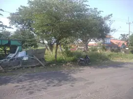 Di Jual Tanah lokasi pinggir jalan utama Jl. Rd. Ali Sadikin (Gordah)