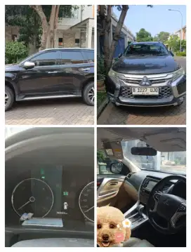 Mitsubishi Pajero ultimate