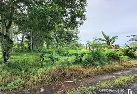 Tanah kosong dekat ksmpus UMP, hotel Amoris Sokaraja Banyumas
