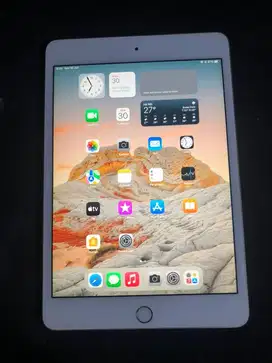 Ipad mini 4 128gb wifi saja