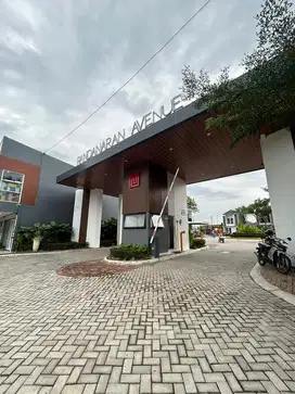 PANDANARAN AVENUE DEKAT UNDIP TEMBALANG