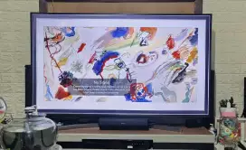 tv LG smart digital 55