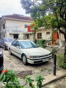 Accord maestro thn 91