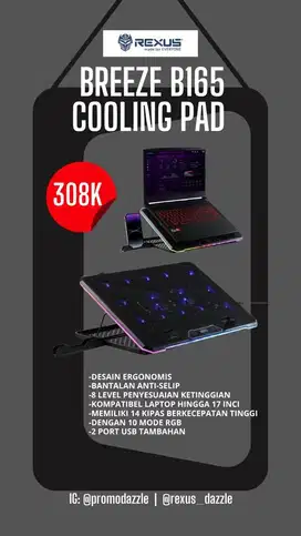 Cooler B165 rexus
