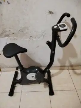Sepeda olah raga