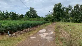 Tanah 1 Rante Natar