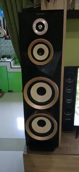 Speaker salon aktif