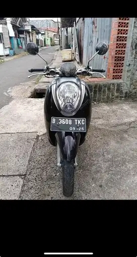 Scoopy carbu 2011