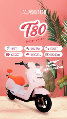 UWINFLY T80 1200WATT