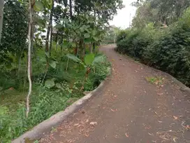 Jual kapling murah pinggir jalan