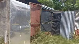 Jual Kandang Ayam (Seng, Kayu, & Kawat)