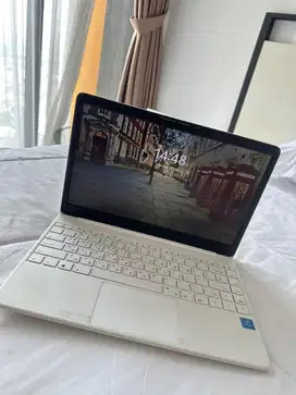 Laptop Basics 14 Inc 256GB