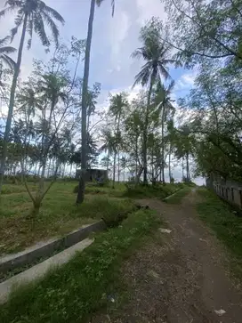 Jual tanah klatak kalipuro dekat pelabuhan ketapang