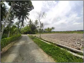 Tanah Kos-kosan murah Kulon Progo; Yogyakarta, Profit 30%