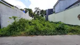 Tanah Maguwoharjo, Masih Murah