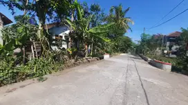 Dijual Tanah Rejosari, 7 Menit Kampus UII