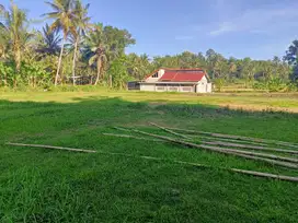 Tanah Investasi Kulonprogo, Pasti Cuan