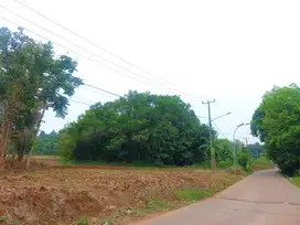 Bisa Angsur 12X; Kavling Tanah Dekat Danau Sarongge