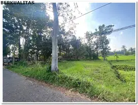 Jual Cepat  Tanah Villa 156m2, View Sawah, SHM