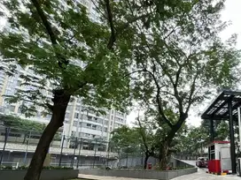Apartemen 2BR Siap Huni Hanya 5 Menit MRT Tanjung Duren