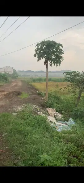DIJUAL TANAH INDUSTRI RAYA LEGUNDI 1 MENIT DARI EXIT TOL KRIAN