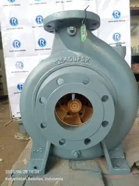 Pompa Ebara 125x100 FSKA Mechanical seal Full / Ebara Pump 125x100 MS