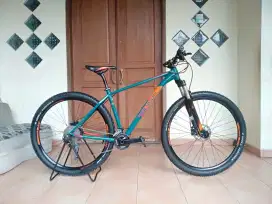 Polygon Xtrada 6
