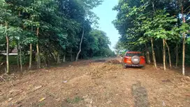 Tanah Kavling Pecah SHM, Harga Promo 1,5Jt/m2 Dekat Pasar Cileungsi.
