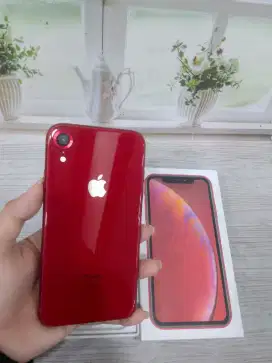 IPhone Xr 64Gb iBox