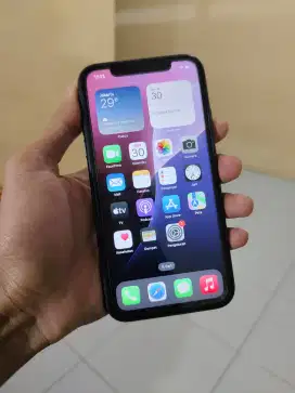 IPHONE 11 64 GB IBOX UNIT & CASAN