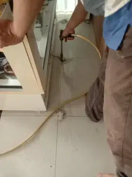 Professional Basmi Hama Rayap ,Pest Control, Anti Rayap