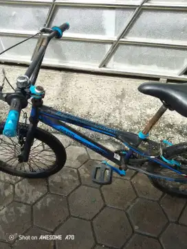 Sepeda BMX Viva Cycle