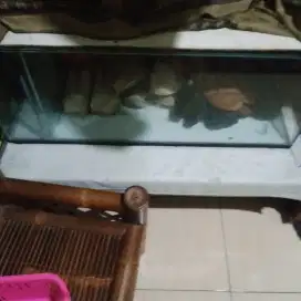 Akuarium ikan bekas