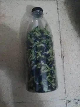Teh bunga telang dried