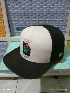 Topi Snapback Vans Antihero Skateboard (Rare)